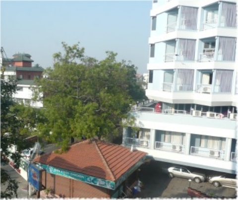 Images/ootyComb 145.jpg